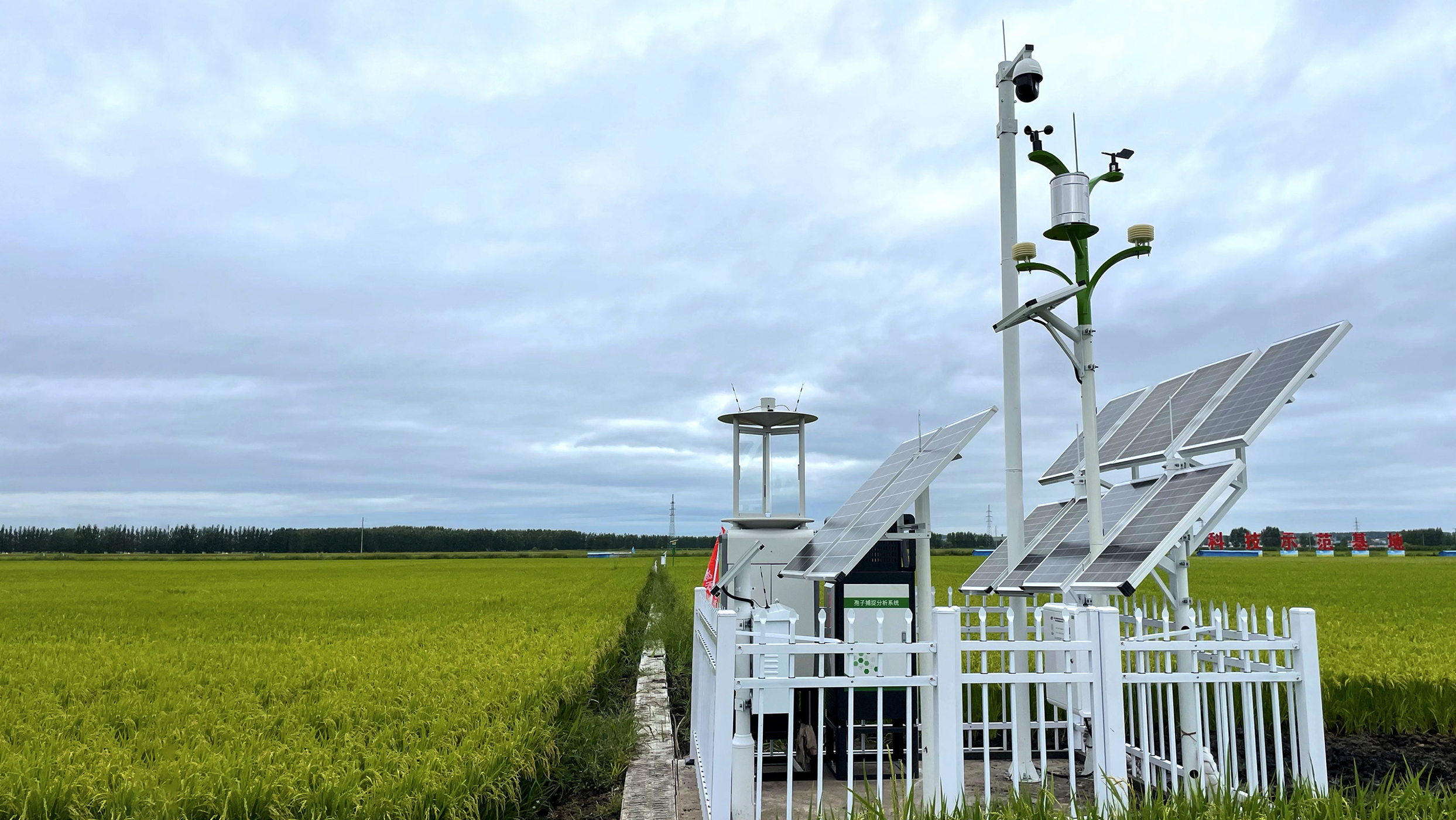 Agricultural inspection